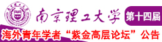 嗯啊嗯啊受不了了舒服了在线视频南京理工大学第十四届海外青年学者紫金论坛诚邀海内外英才！